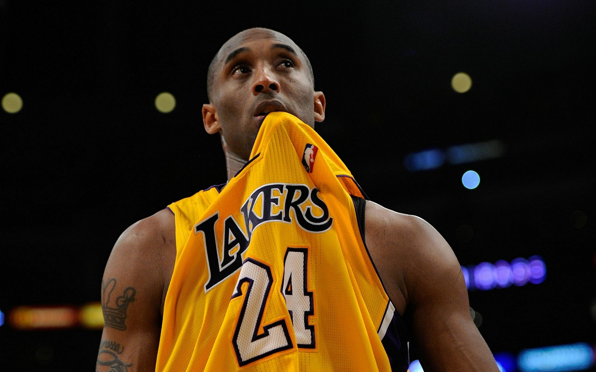 停布置里 停布置里